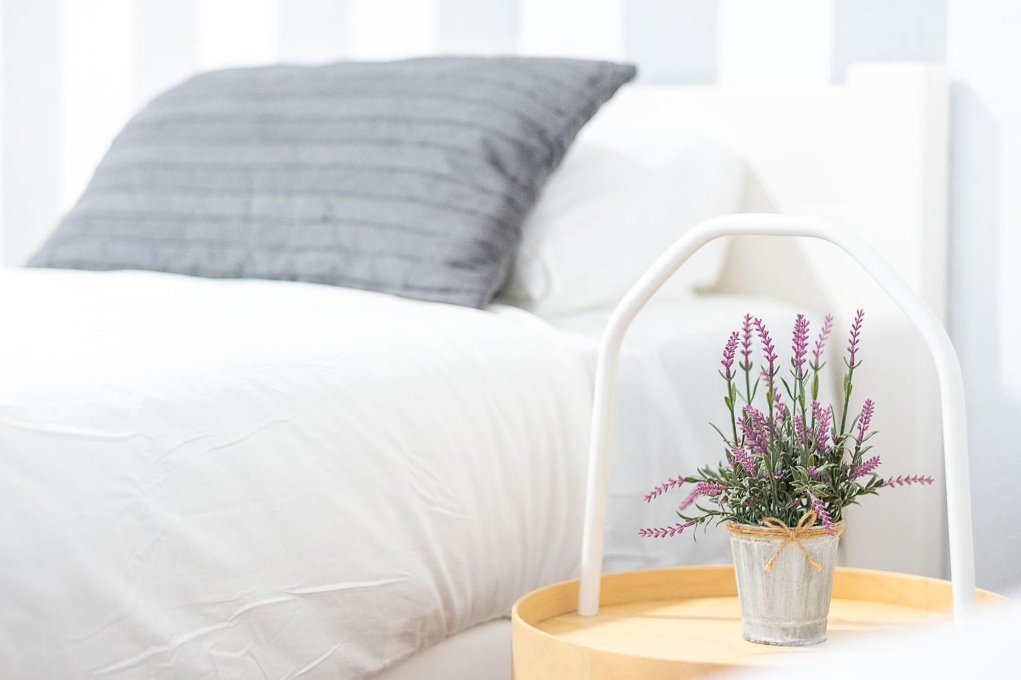 Apartamento New Folch Sevilla A 外观 照片
